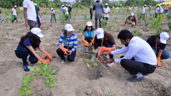 CCoforge-conducts-a-plantation-drive-to-create-a-mini-biodiversity-park-in-Noida1